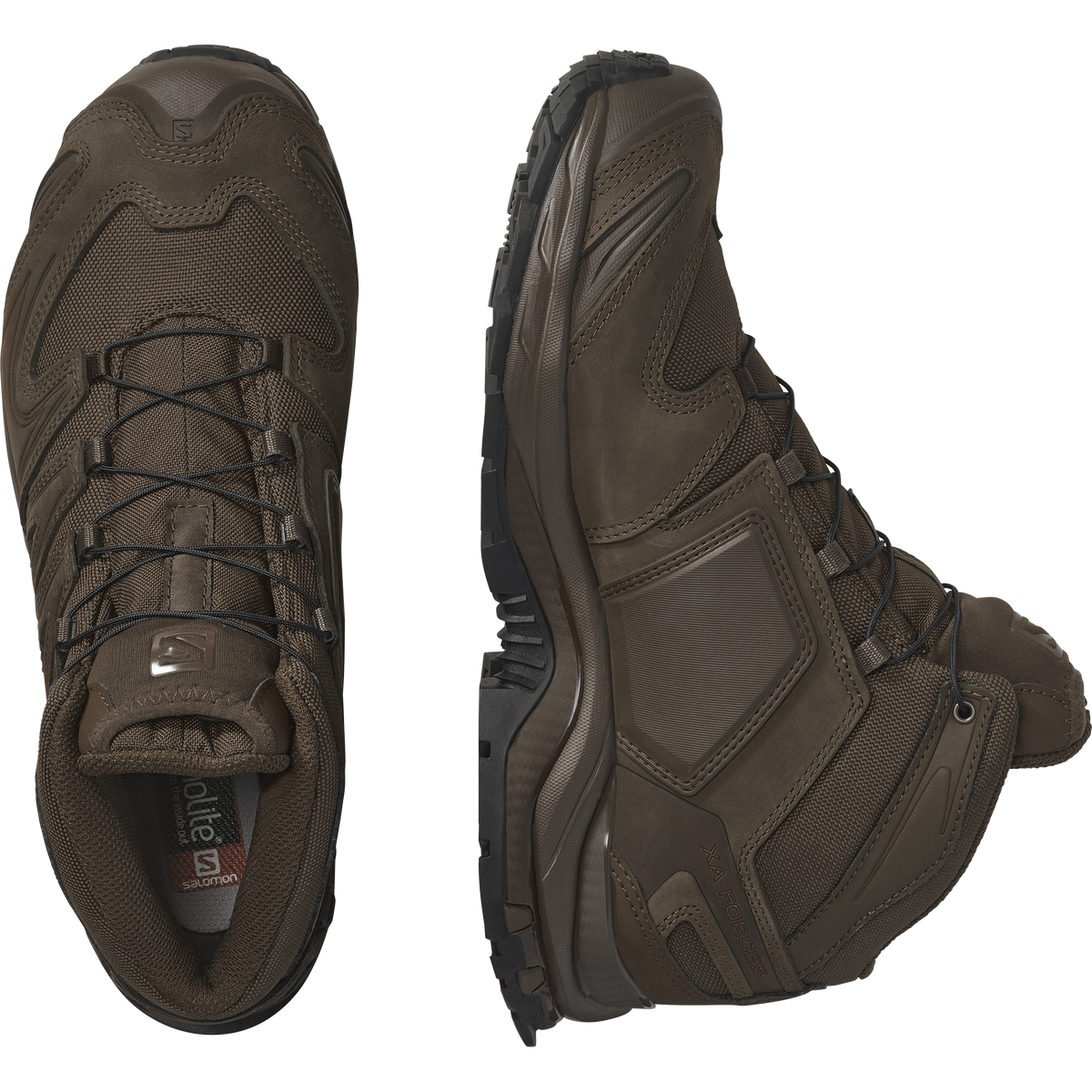XA FORCES MID EN